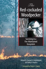 cover of The Red-cockaded Woodpecker: Surviving in a Fire-Maintained Ecosystem