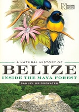 cover of A Natural History of Belize: Inside the Maya Forest