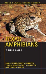 cover of Texas Amphibians: A Field Guide