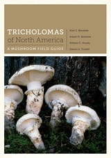 cover of Tricholomas of North America: A Mushroom Field Guide