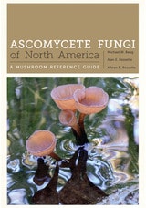cover of Ascomycete Fungi of North America: A Mushroom Reference Guide