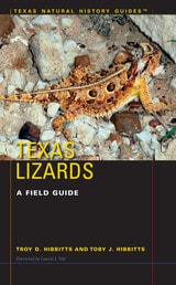 cover of Texas Lizards: A Field Guide