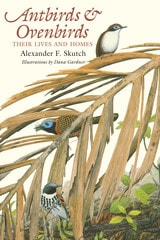 cover of Antbirds and Ovenbirds: Their Lives and Homes