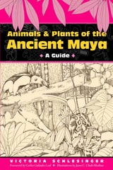 cover of Animals and Plants of the Ancient Maya: A Guide