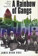 cover of A Rainbow of Gangs: Street Cultures in the Mega-City