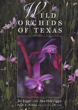cover of Wild Orchids of Texas