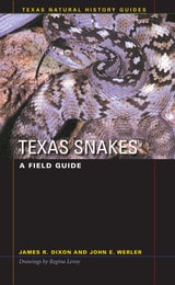 cover of Texas Snakes: A Field Guide