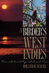 cover of A Birder’s West Indies: An Island-by-Island Tour