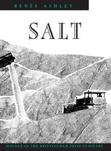 cover of Salt