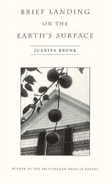 cover of Brief Landing on the Earth's Surface