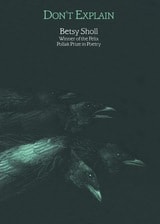 cover of Don't Explain