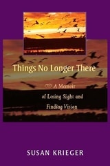 cover of Things No Longer There: A Memoir of Losing Sight and Finding Vision