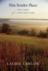 cover of This Tender Place: The Story of a Wetland Year
