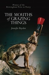 cover of The Mouths of Grazing Things
