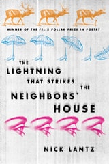 cover of The Lightning That Strikes the Neighbors’ House