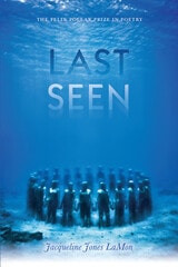 cover of Last Seen