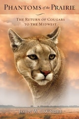cover of Phantoms of the Prairie: The Return of Cougars to the Midwest