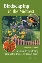 cover of Birdscaping in the Midwest: A Guide to Gardening with Native Plants to Attract Birds