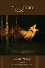 cover of The Blue Hour