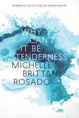 cover of Why Can't It Be Tenderness