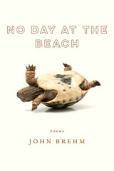 cover of No Day at the Beach