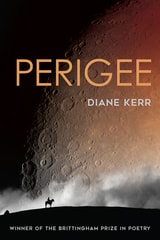 cover of Perigee