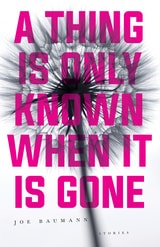 cover of A Thing Is Only Known When It Is Gone