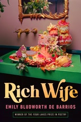 cover of Rich Wife