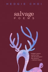 cover of Salvage