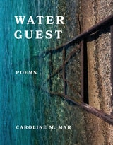 cover of Water Guest