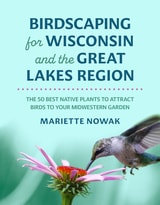 cover of Birdscaping for Wisconsin and the Great Lakes Region: The 50 Best Native Plants to Attract Birds to Your Midwestern Garden