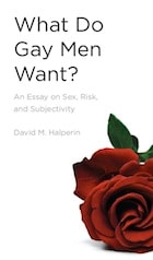 cover of What Do Gay Men Want?: An Essay on Sex, Risk, and Subjectivity