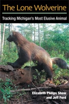 cover of The Lone Wolverine: Tracking Michigan's Most Elusive Animal