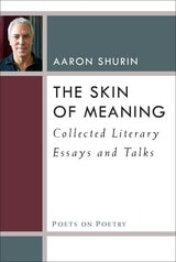 cover of The Skin of Meaning: Collected Literary Essays and Talks