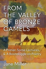 cover of From the Valley of Bronze Camels: A Primer, Some Lectures, & A Boondoggle on Poetry
