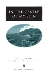 cover of In the Castle of My Skin