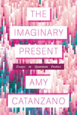 cover of The Imaginary Present: Essays in Quantum Poetics
