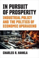 cover of In Pursuit of Prosperity: Industrial Policy and the Politics of Economic Upgrading