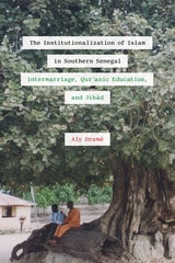 cover of The Institutionalization of Islam in Southern Senegal: Intermarriage, Qur'anic Education, and Jihad