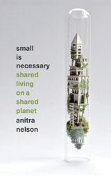 cover of Small Is Necessary: Shared Living on a Shared Planet