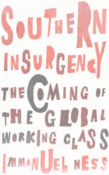 cover of Southern Insurgency: The Coming of the Global Working Class