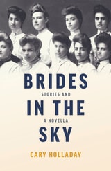 cover of Brides in the Sky: Stories and a Novella