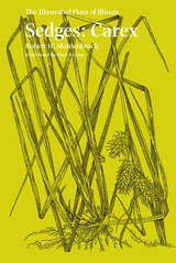 cover of Sedges: Carex