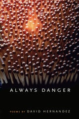 cover of Always Danger
