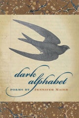 cover of Dark Alphabet