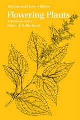 cover of Flowering Plants: Asteraceae, Part 1
