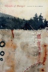 cover of Objects of Hunger