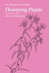 cover of Flowering Plants: Asteraceae, Part 2