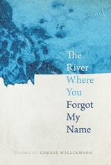 cover of The River Where You Forgot My Name