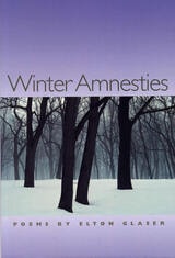 cover of Winter Amnesties